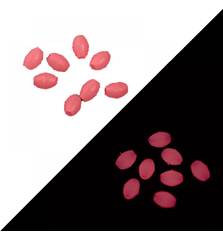 VERCELLI OVAL SILICONE BEAD XL #PINK